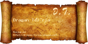 Dragan Tíria névjegykártya